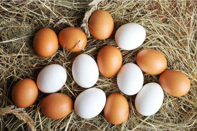 Brown and white eggs on hay
